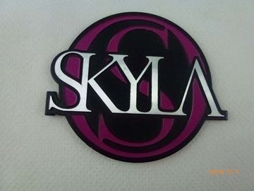 Metal la raya de las placas de identificación de la puerta de la oficina/la impresión personalizada de la pantalla de las placas de identificación